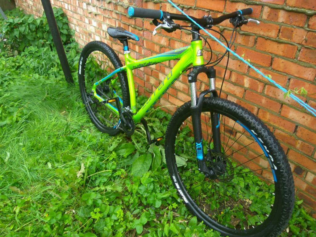 carrera sulcata green 29