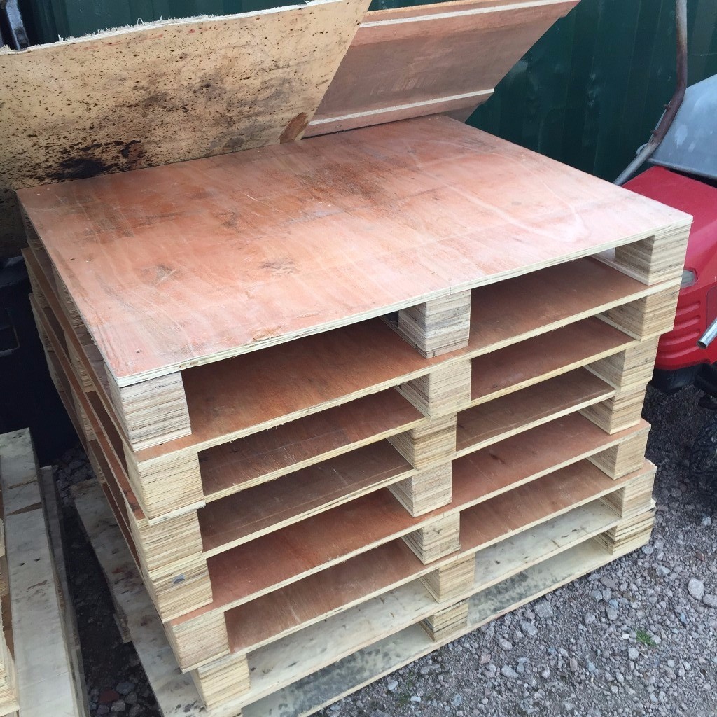 pallets x 20 1100x900 x12mm in Lutterworth, Leicestershire Gumtree