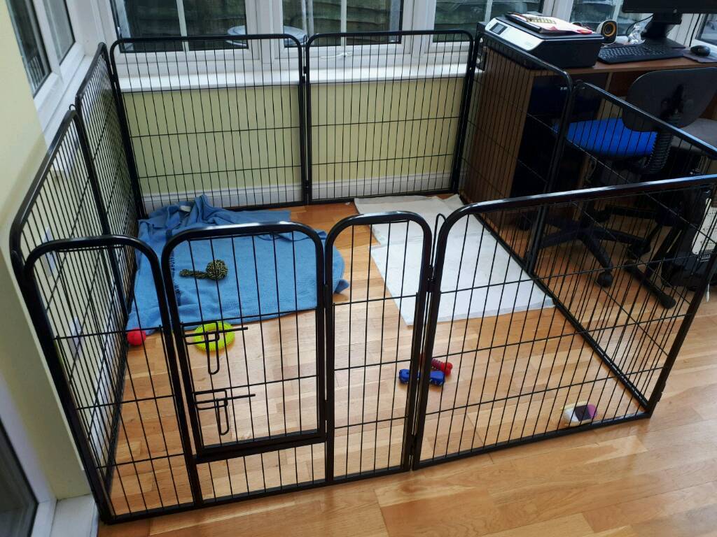 Dog pen in StainesuponThames, Surrey Gumtree