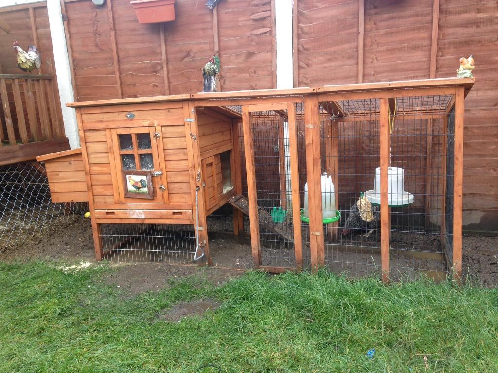 Chicken coop &3 chickens in Keynsham, Bristol Gumtree
