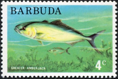 Colonia Británica y territorio sellos de Peces