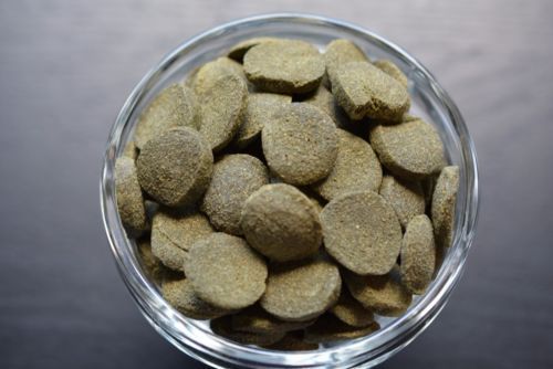 Alimentadores de fondo oblea de algas comida para peces