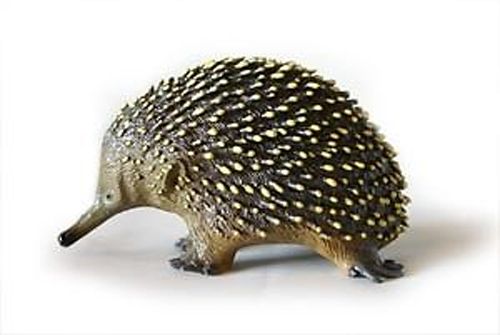 echidna　 NEW Science & Nature Australian Native Echidna Model 10cm | eBay UK