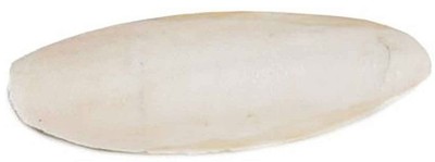 Bird, Prevue Cuttlebone Birdie Basics Large 6 Inch Long (25 count)