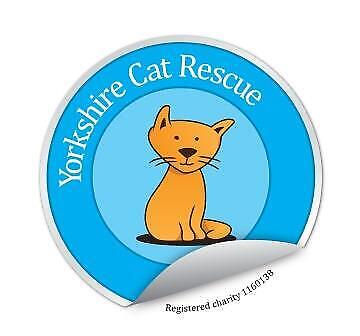 Yorkshire Cat Rescue