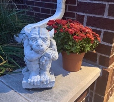 Objectfoto('s) van geverifieerde koper