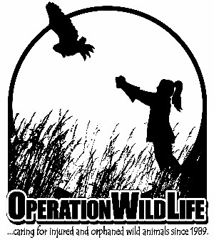 Operation WildLife, Inc