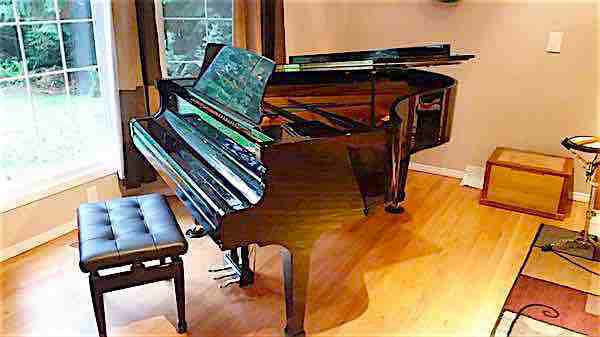 Henry F Miller, Professional 6'2