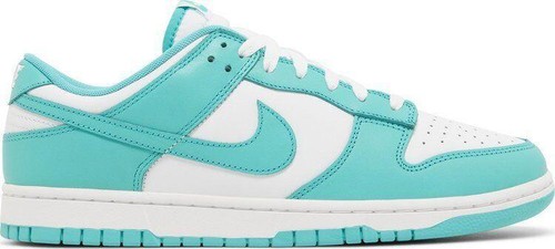 Nike Dunk Low Retro Shoes 'Clear Jade' (DV0833-101) Expeditedship