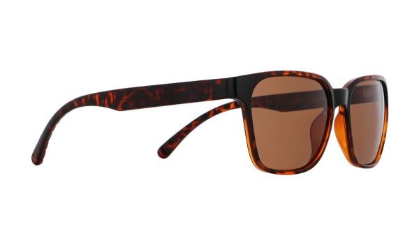 Lunettes de soleil Red Bull Spect ELIOT 004P pour hommes en plastique ovale H...