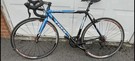 Trek madone road bike (limited edition)