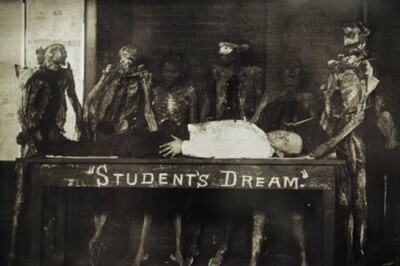 Antique Medical Post Mortem Photo 827 Oddleys Strange & Bizarre