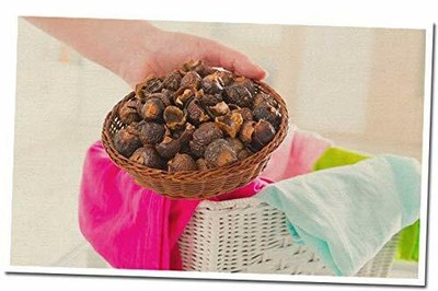 Magic Washberries Organic Laundry Soap 694202906200 | eBay
