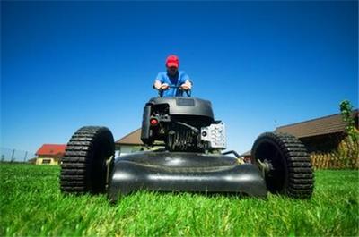 Business Plan: SMALL ENGINE REPAIR SHOP Start Up NEW!