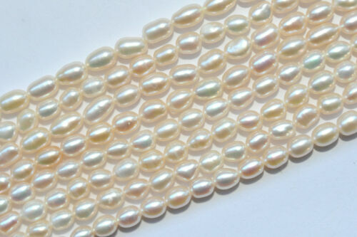 Perle Strang Perlen, Süßwasserperlen