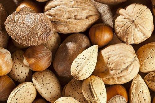 Torn & Glasser 1 lb Hazelnuts, Almonds, Pecans, Walnuts, Brazil Nuts in Shell