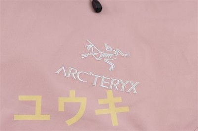 Pre-owned Arc'teryx Check Description Size S-xxl  Beta Lt Gore-tex Waterproof Jacket Pink