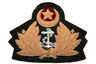 Badge Navy Pakistan2.jpg