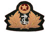 Badge Navy Pakistan2.jpg