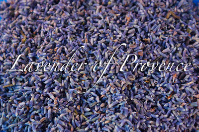 Lavender of Provence organic bulk French flower buds 1 4 8 10 16 lb  oz FREE SH