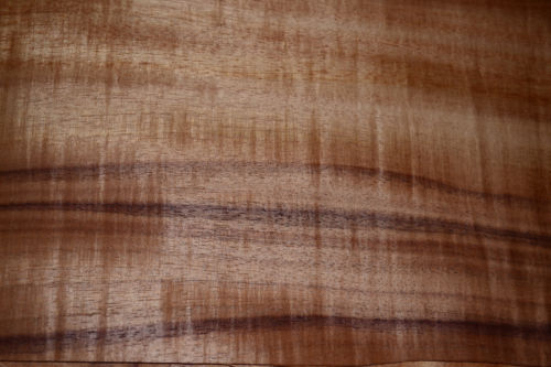 DIY Project Kits for Acoustic Guitars