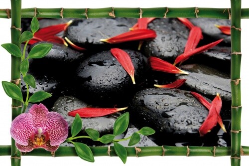 Sticker Bambou DÃ©Co Gros Galets