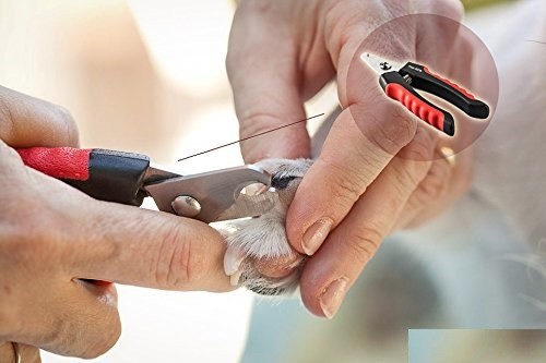 Pet Grooming Trimmer Tool Dog Nail Clippers For Dog Cat Toe Cutter Scissors Claw