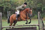 marmalade2012