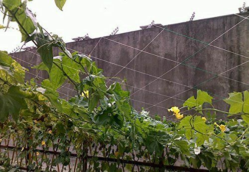 Mr.Garden Trellis Netting, Cucumber Climbing, Tomato Trellis Netting 5ft x 12ft