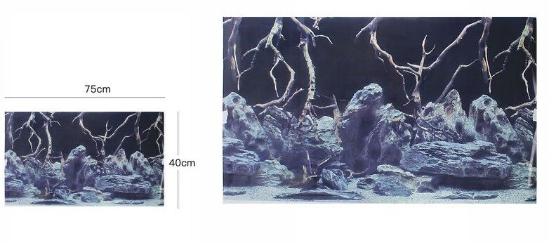 Poster Sfondo Per Acquario Terrario Panorama Decoro Misura 40x75cm dfh
