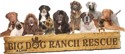 Big Dog Ranch Rescue, Inc.