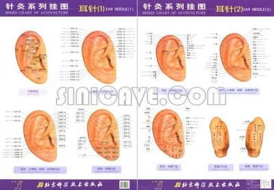 SERIES CHART OF ACUPUNCTURE: -EAR NEEDLE (SERIES CHART OF By Wang Fuchun **NEW**