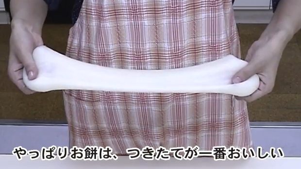 MK Seiko Mochi Machine Rice Cake RM-201SN Kagamimochi Mochitsuki 795W NEW