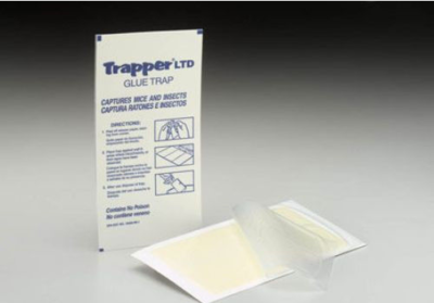 Trapper Ltd Mice Traps Insect Spider Traps