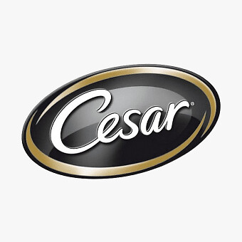 Cesar 