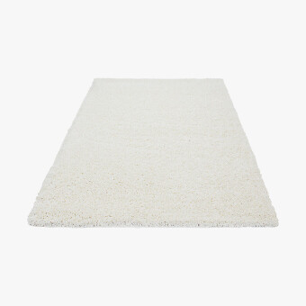 Rugs & Carpets