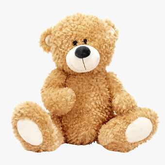 Bear Plush Teddy Bears