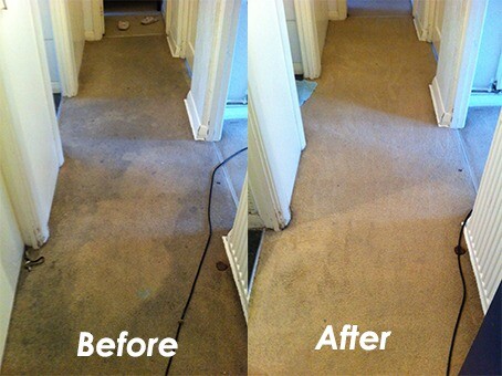 Professional Carpet Cleaning This Week Offer 3 Areas For