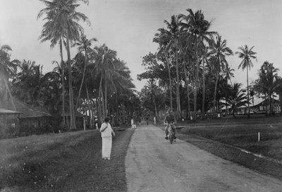 Calboyoz,South Road,Samor,Samar,Philippine Islands,Palm Trees,1890-1920