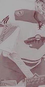 2017-18 Upper Deck Compendium - Devan Dubnyk #128