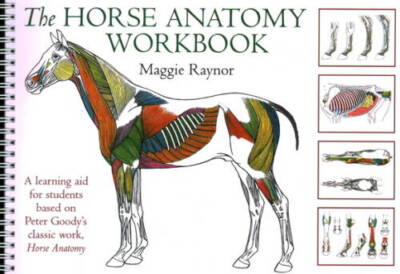 The Horse Anatomy Workbook: A Learning Aid for Students Based on Pet - VERY GOOD