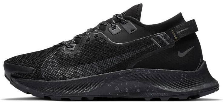 BRAND NEW: NIKE PEGASUS TRAIL 2 GORE-TEX | GORE-TEX Brand