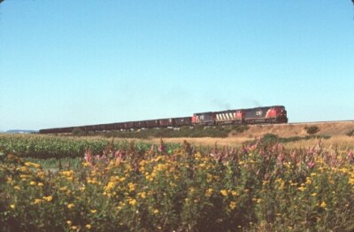 CN 2450 C40-8M #770 DELTA BC (CANADIAN NATIONAL) ORIGINAL SLIDE 08-12-96 T20-16