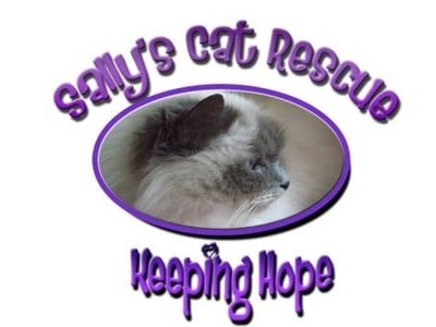Sally's Cat Rescue
