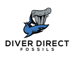 diverdirectfossils 的用户个人档案