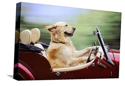  Canvas Wall Art Prints Golden 18'' x 12'' Stretched Canvas Wrapped Canvas