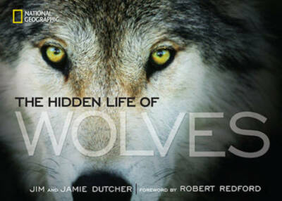 The Hidden Life of Wolves - Hardcover By Dutcher, Jim - GOOD