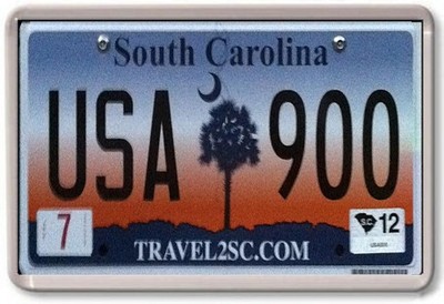 FRIDGE MAGNET - License Plates (Various Designs)- US States American licence