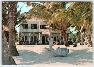 Foto dell'oggetto di un acquirente verificato