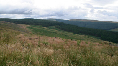 Photo 6x4 Hawk Burn Catcleugh View looking across Hawk Burn from near Har c2008